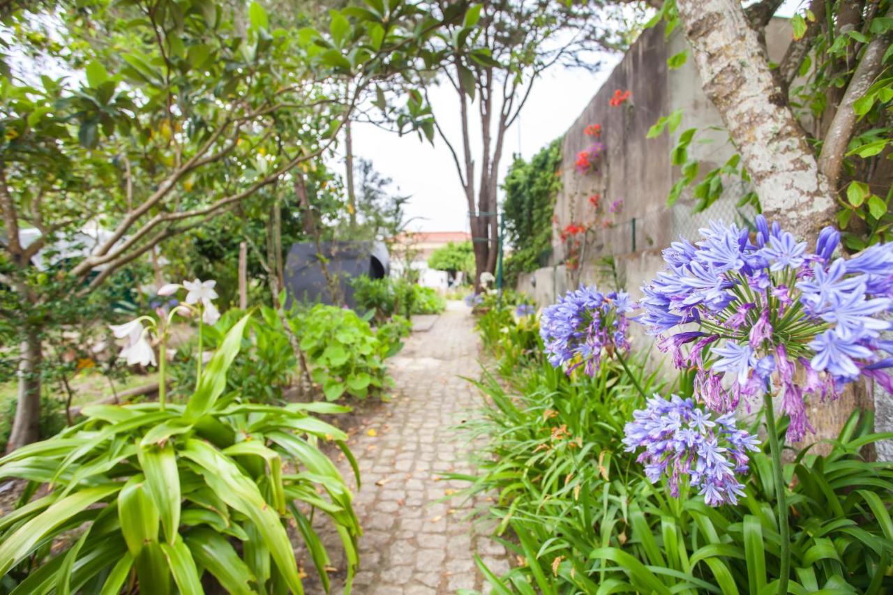 Willa Beautiful Country House&Romantic Garden Sintra Zewnętrze zdjęcie